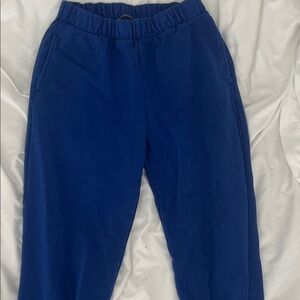 Brandy Melville Royal Blue Textured Pants